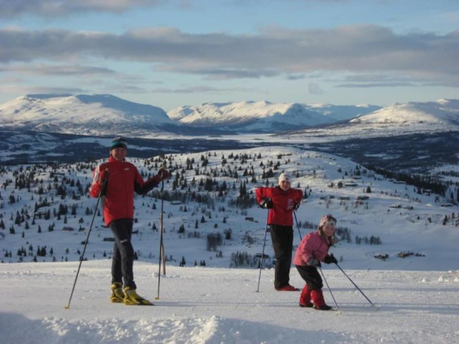 Flott Fritidsleilighet I Bualie Pa Golsfjellet Eksteriør billede