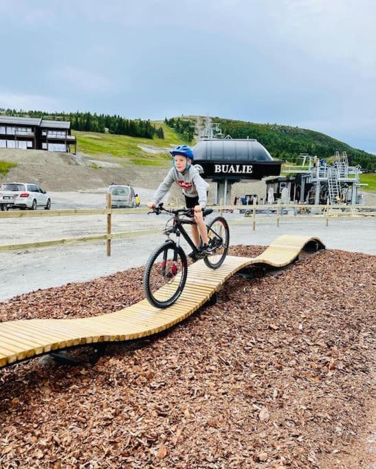 Flott Fritidsleilighet I Bualie Pa Golsfjellet Eksteriør billede