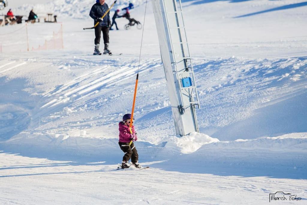 Flott Fritidsleilighet I Bualie Pa Golsfjellet Eksteriør billede